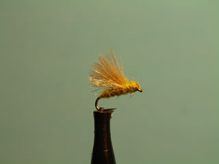 CDC Olive Caddis (14 y 18)